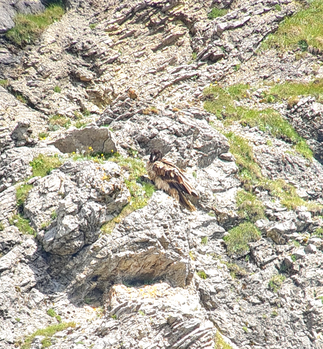 Vinzenz Ruheplatz  |© David Schuhwerk, LBV