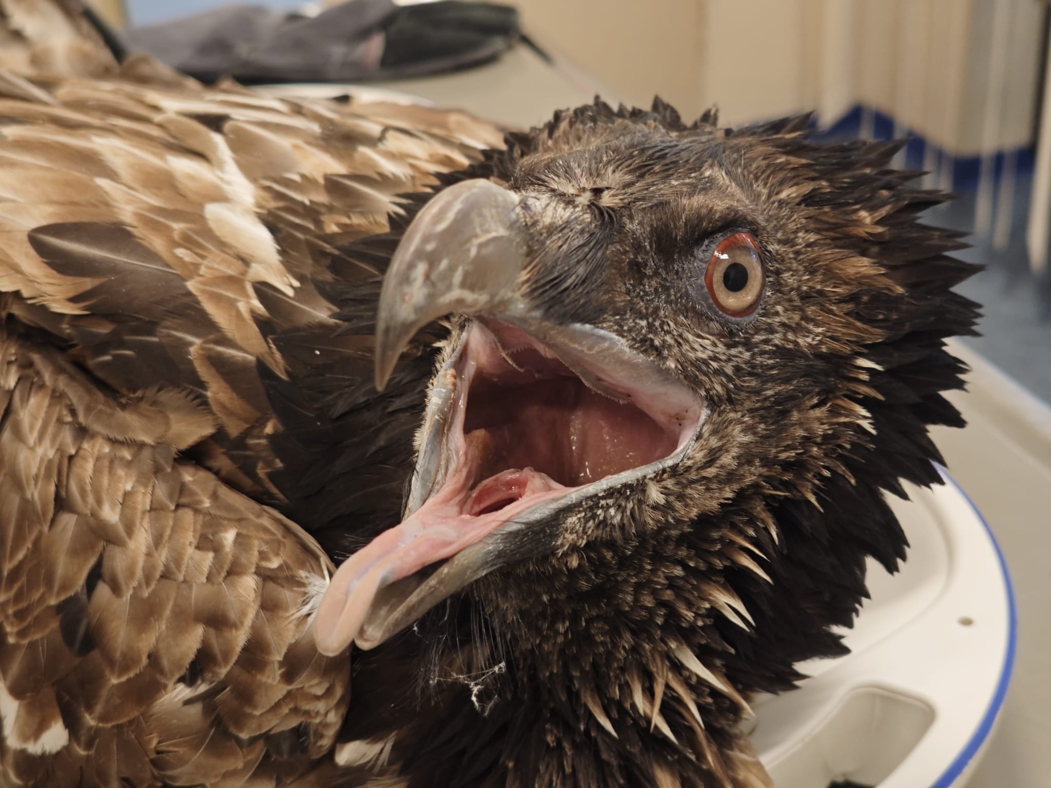 Vinzenz in der Pflegestation |© Klaus Meyer