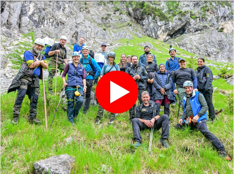 Video vom Aufstieg zur Nische |© LBV