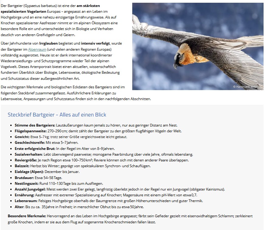 Steckbrief Bartgeier  |© David Schuhwerk, LBV