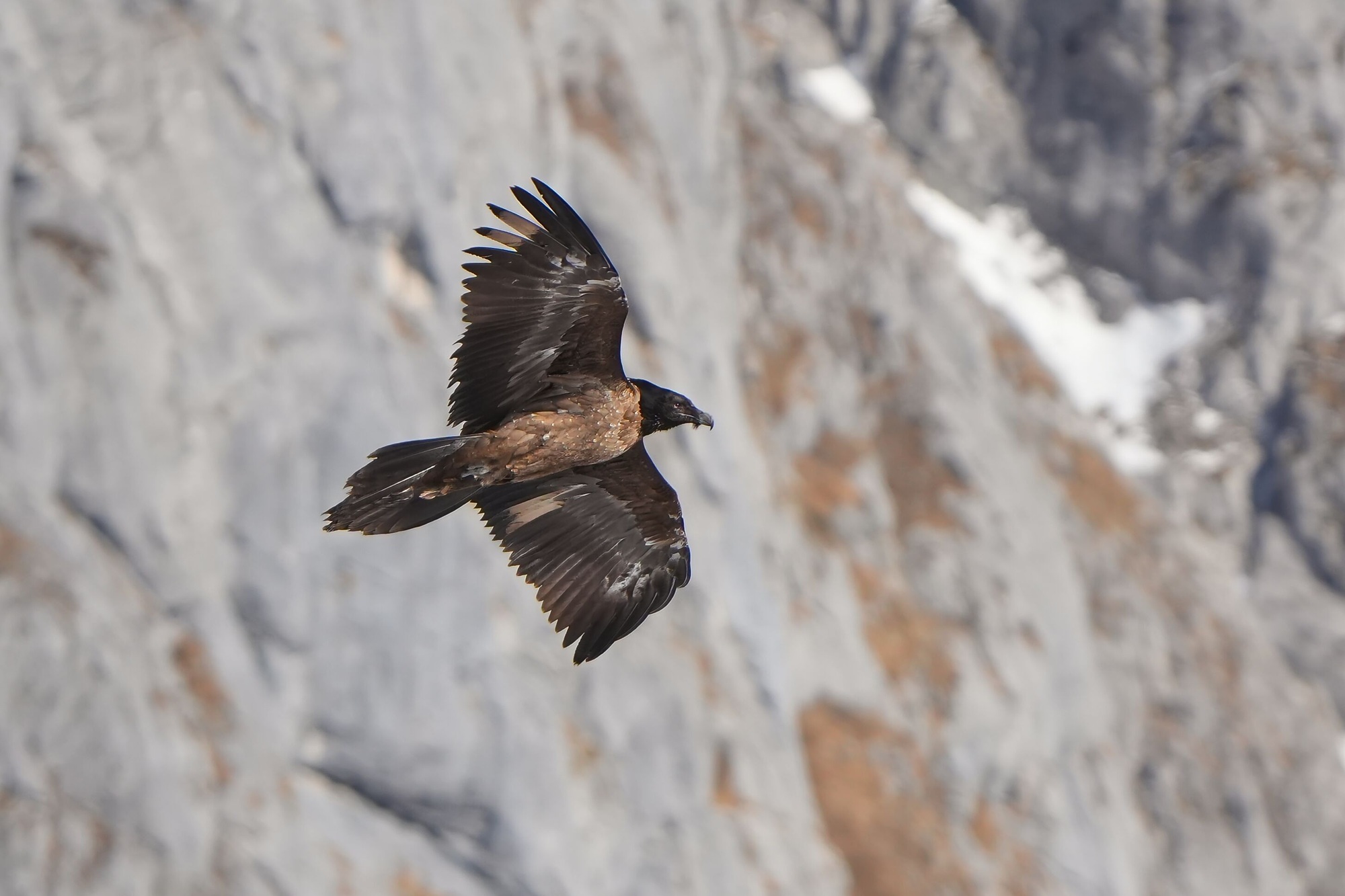 Generl im Januar 26  |© Christian Steiger