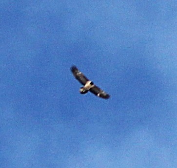 Luisa im Karwendel |© Alexandra de Crignis