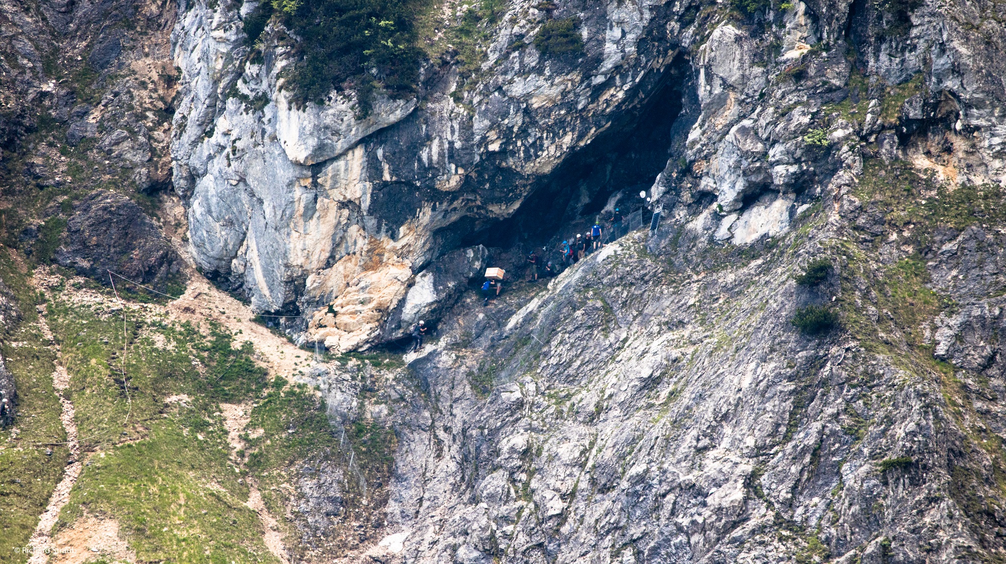 Die erste Auswilderung im Nationalpark Berchtesgaden |© Richard Straub