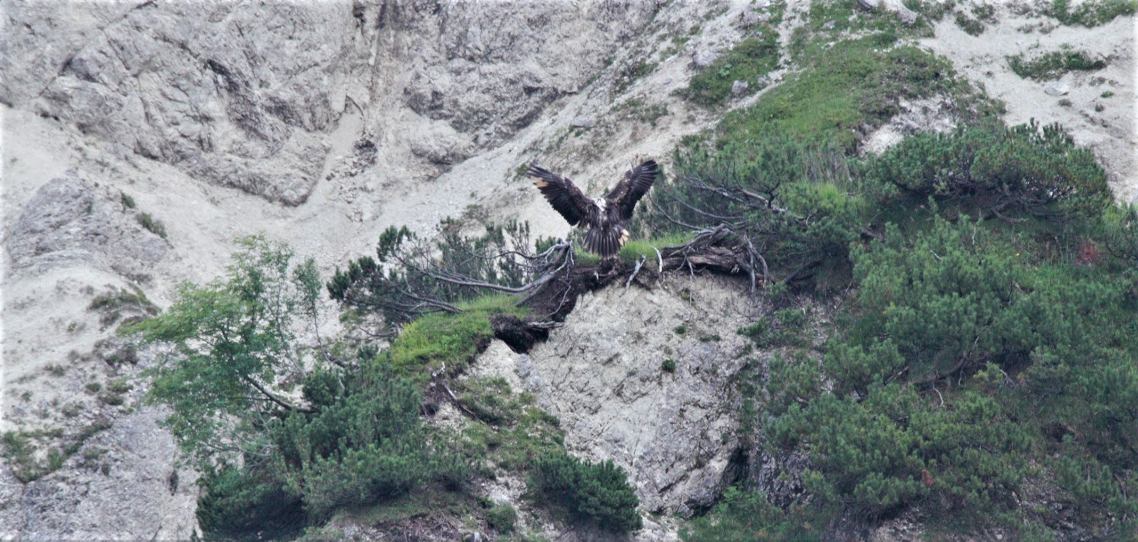 Bavaria fliegt einen Aufenthaltsort in den zerklüfteten Felswänden an | © David Schuhwerk