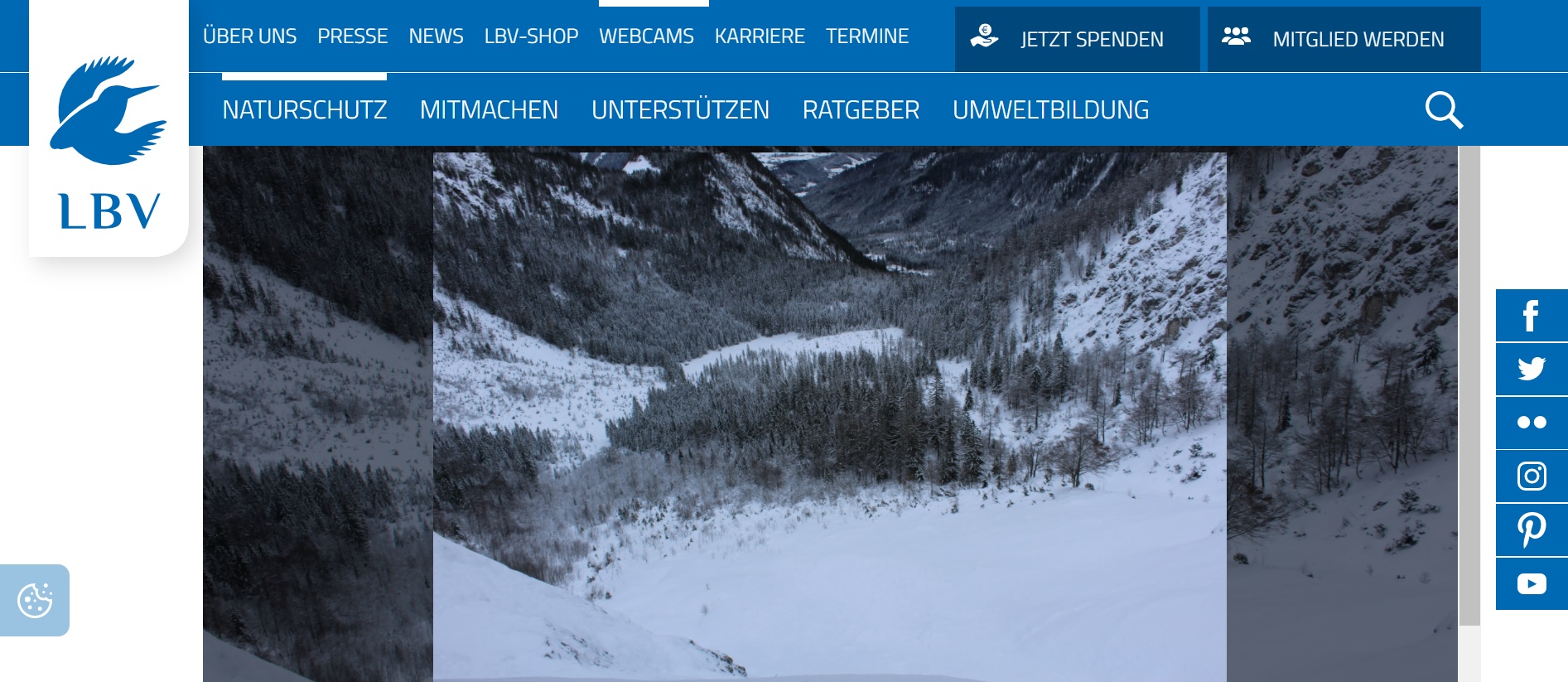 Die neue Fotowebcam in der Auswilderungsnische |© Screenshot LBV