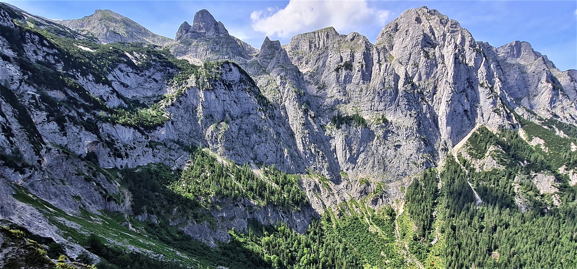 Die Halsgrube ist die unmittelbare Umgebung der Auswilderungsnische an der eindrucksvollen Ostseite der Reiteralm | © David Schuhwerk LBV