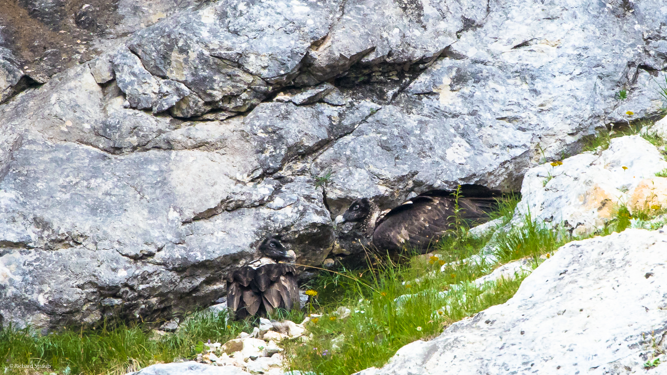 Wally und Bavaria zusammen in der Nische |  © R. Straub