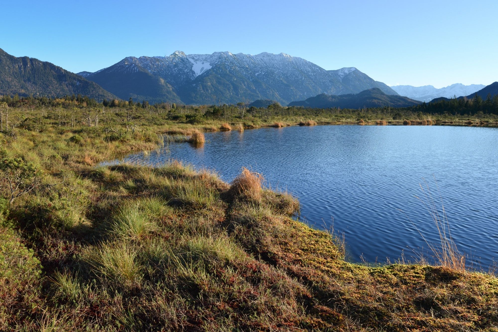 LBV-Schutzgebiet Murnauer Moos | ©  Dr. Olaf Broders