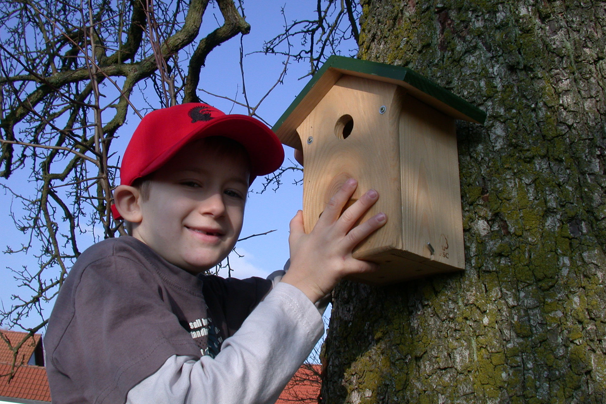 Ein Kind hängt einen Nistkasten an einem Baum auf | © Birgit Helbig
