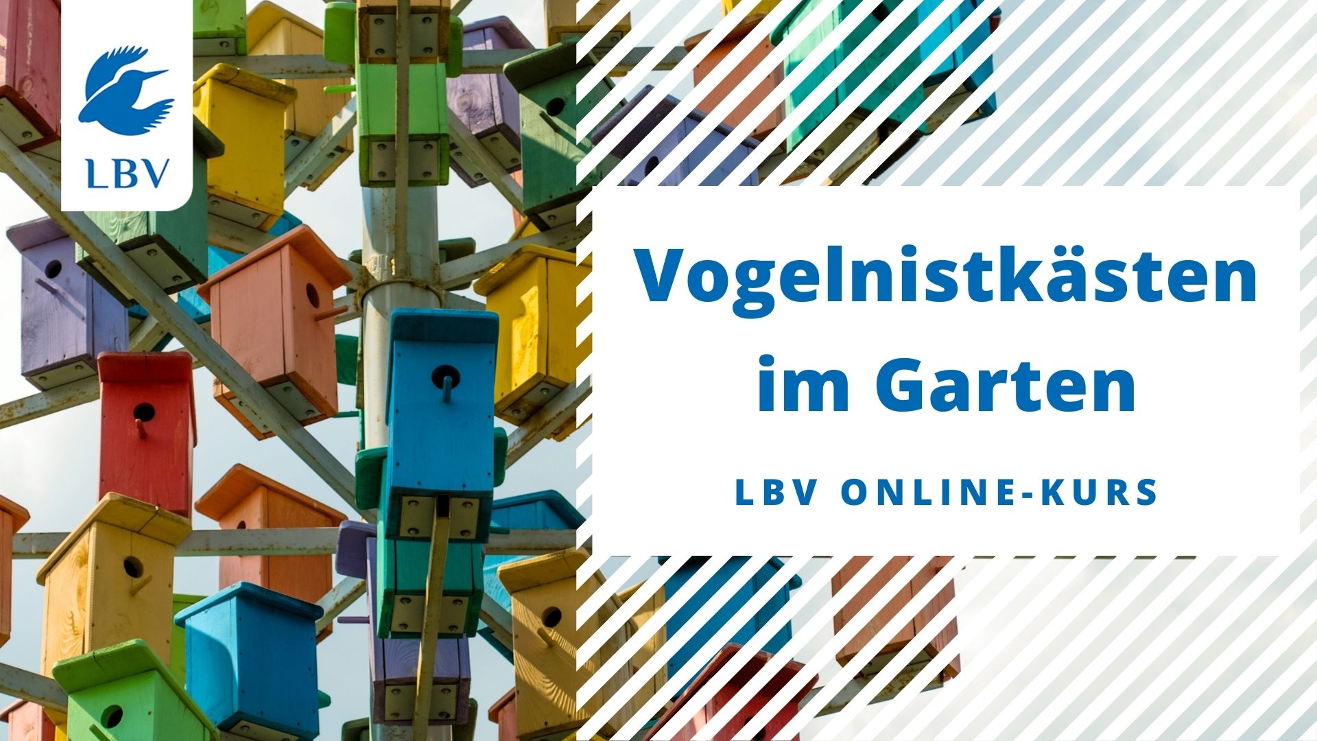 Startseite Online-Kurs Nistkästen