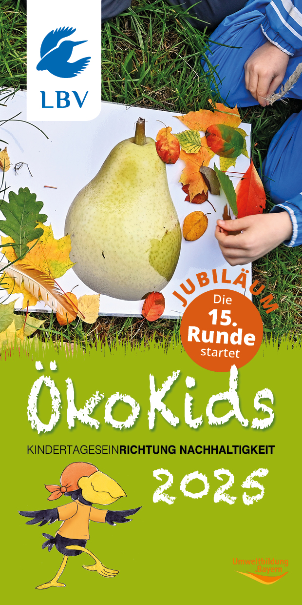 Flyer Ökokids 2025