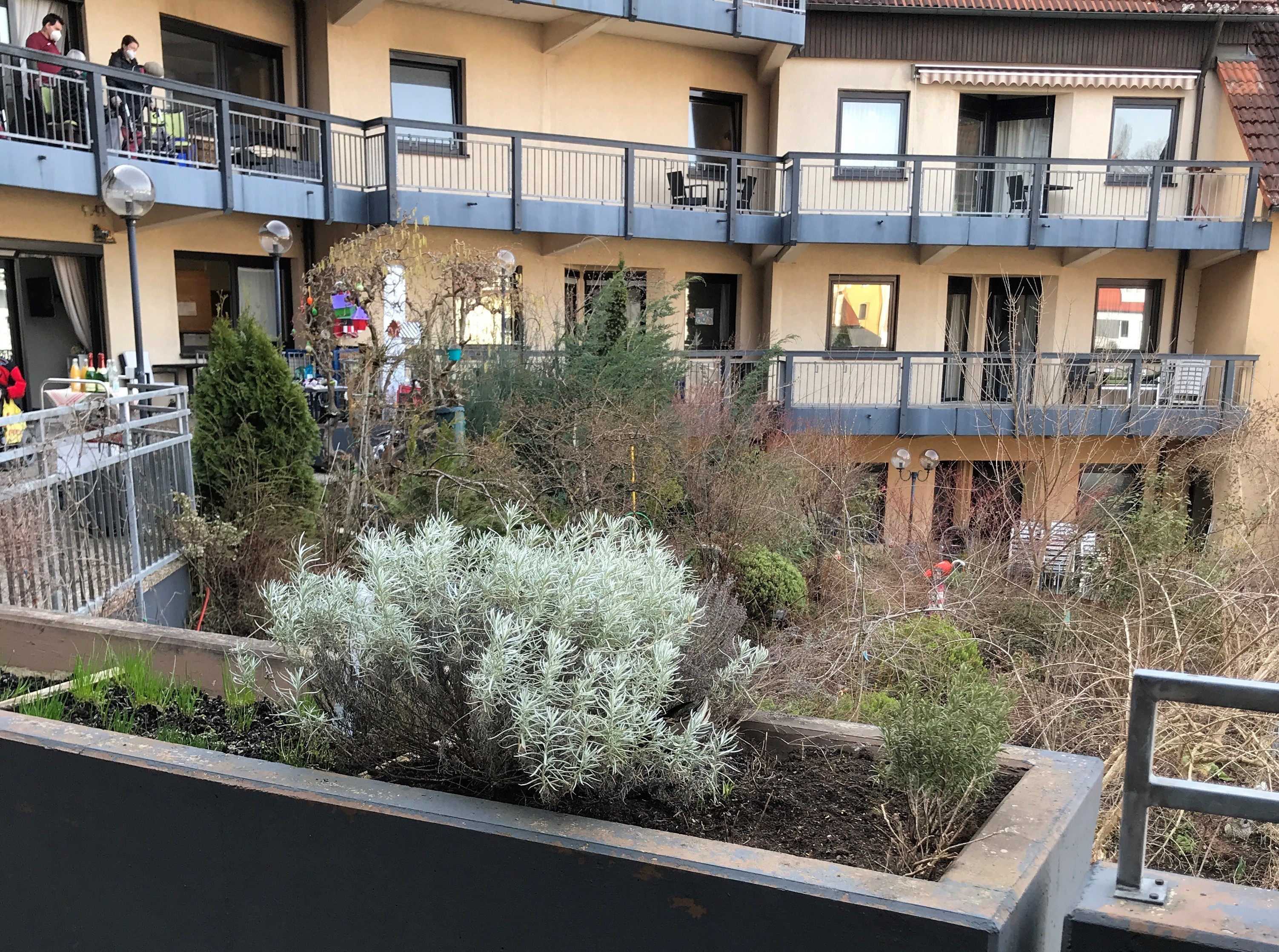 Hier im AWO Heim in Lauf brütet im Pflanzkübel zwischen den Küchenkräutern eine Stockente mit dem Namen "Hildegard vom Hämmernplatz"  | © Kathrin Lichtenauer