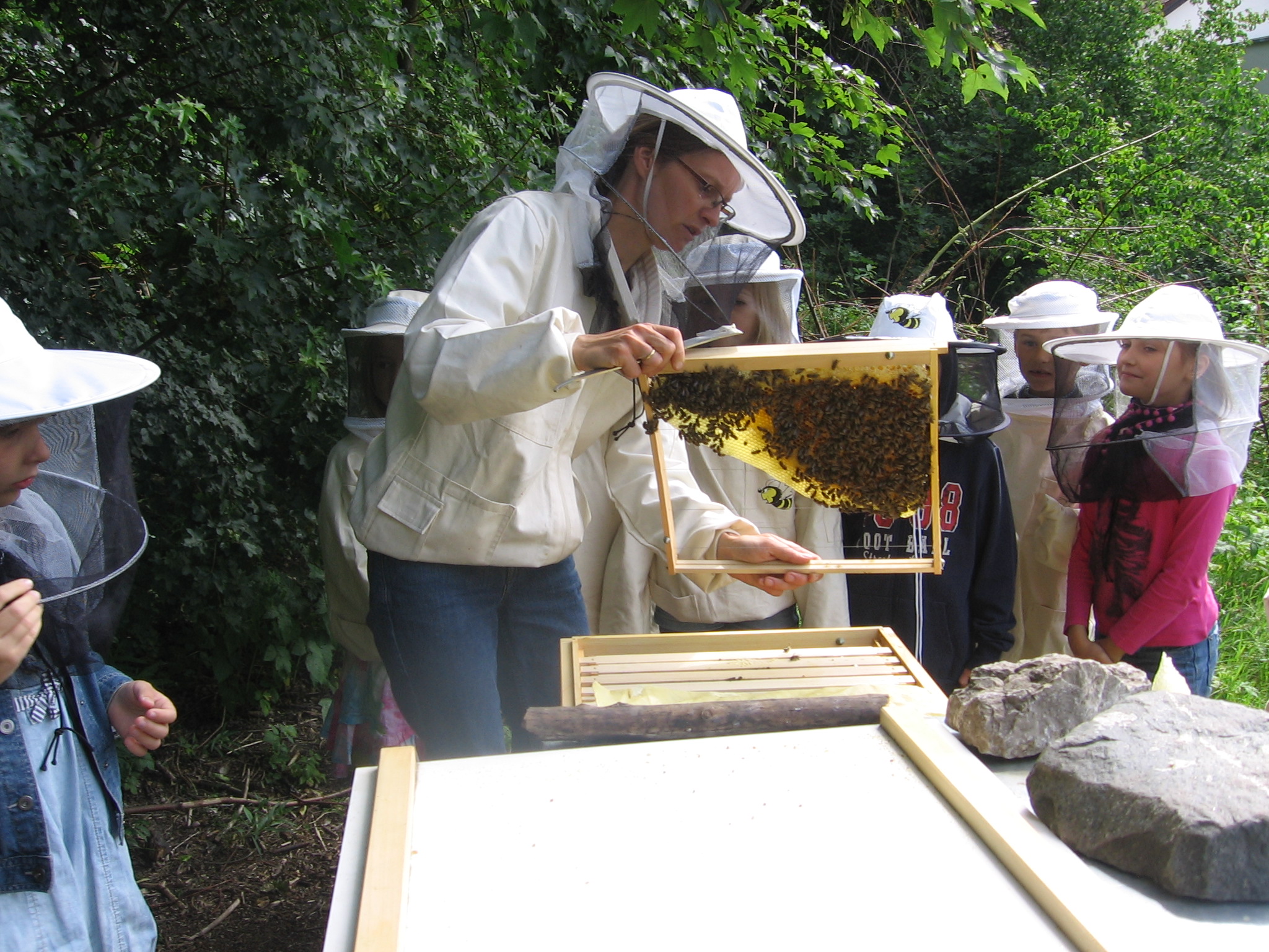 Schulgarten-Wettbewerb 2016 Grundschule St. Georgen Bienen | © Grundschule St. Georgen