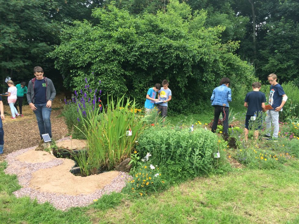 Schulgarten-Wettbewerb 2016 Gustav-Woehrnitz-Mittelschule Gartenarbeit | © Gustav-Woehrnitz-Mittelschule