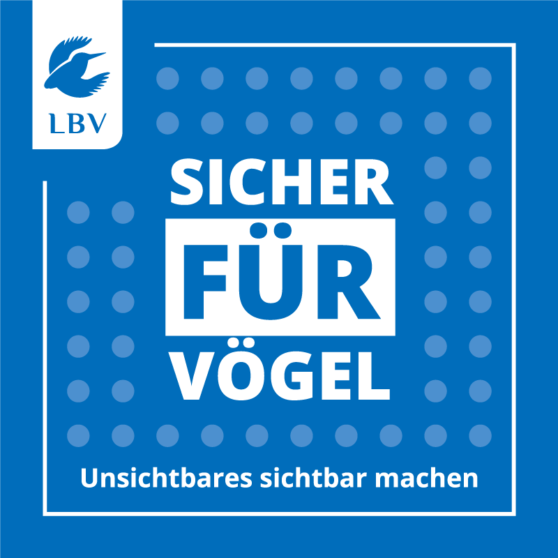 Plakette Vogelschlag