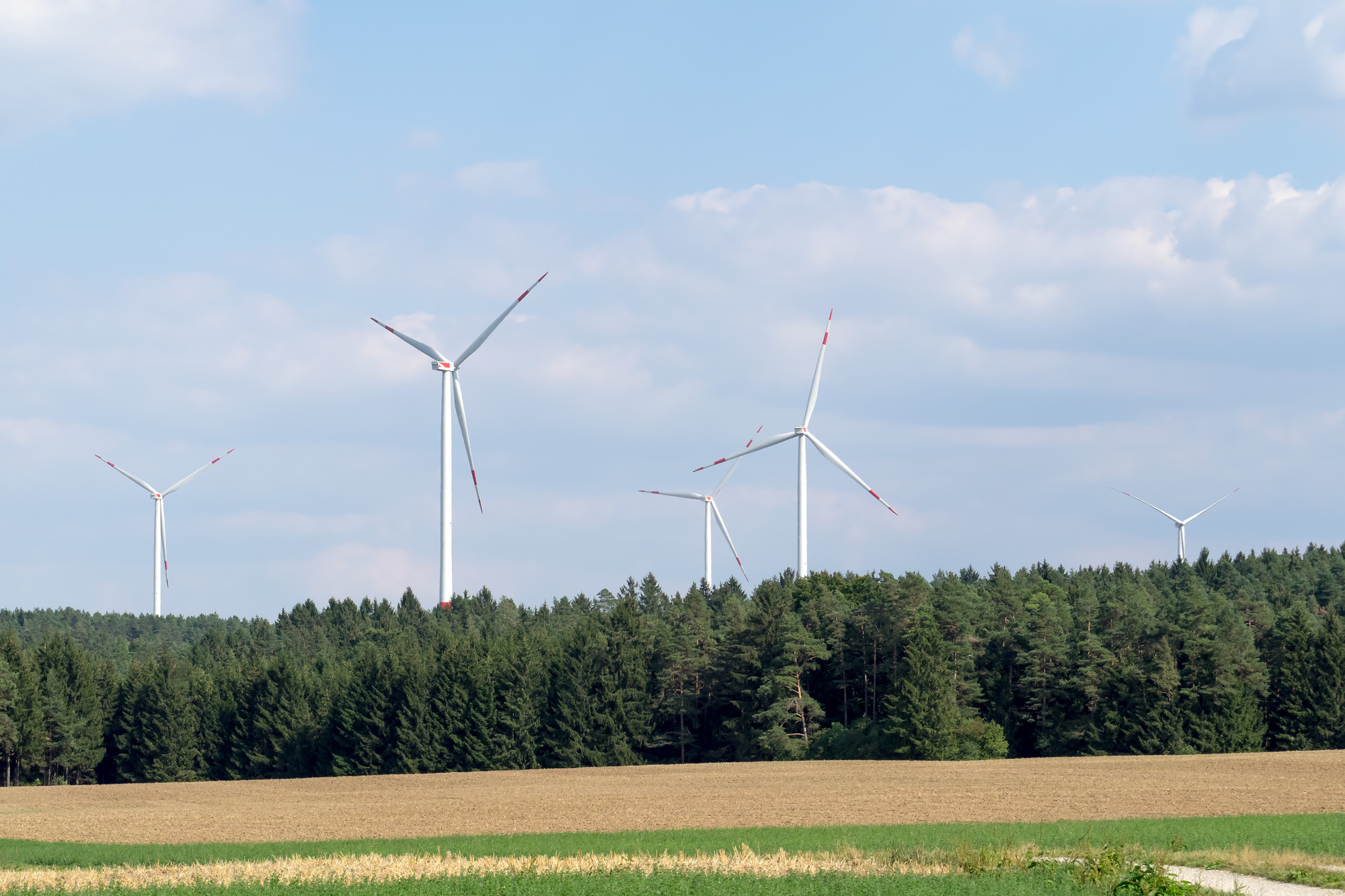 Windräder im Wald | © Oliver Witting