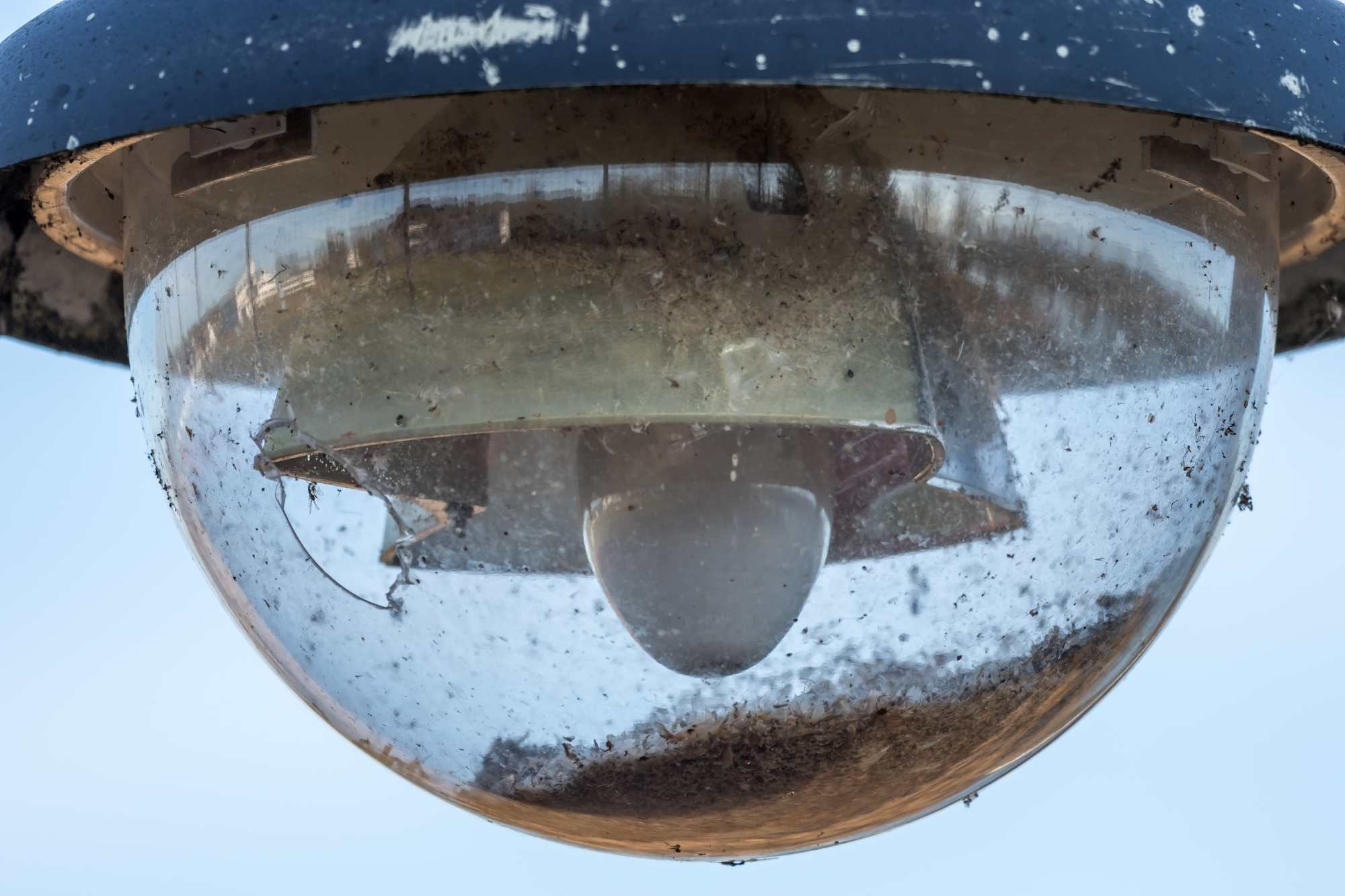 Straßenlampe Insekten | © Oliver Witting