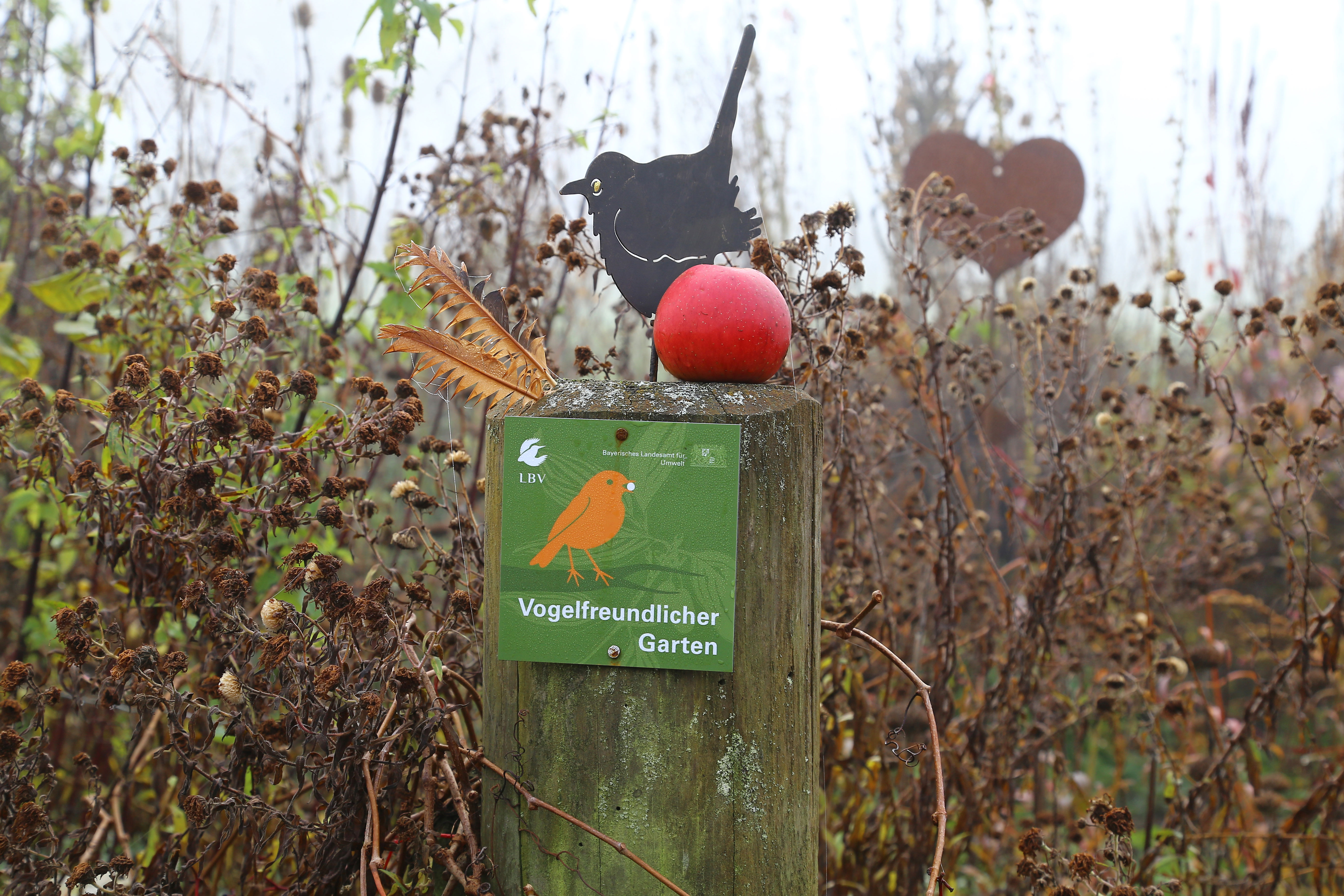 Vogelfreundlicher Garten im Herbst  | © Carola Bria