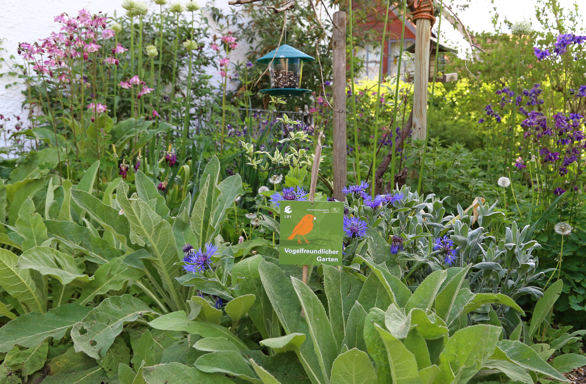 Die Plakette "Vogelfreundlicher Garten" zwischen blühenden Pflanzen | © Carola Bria
