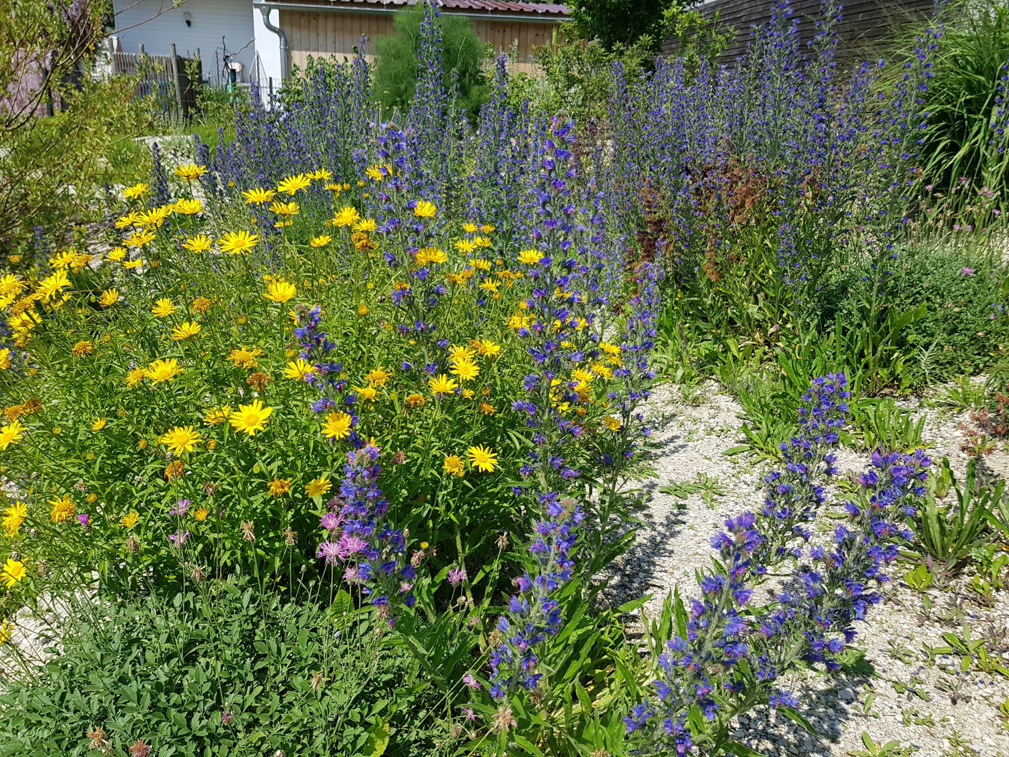 Schmetterlingsfreundlicher Garten | © Erich Obster