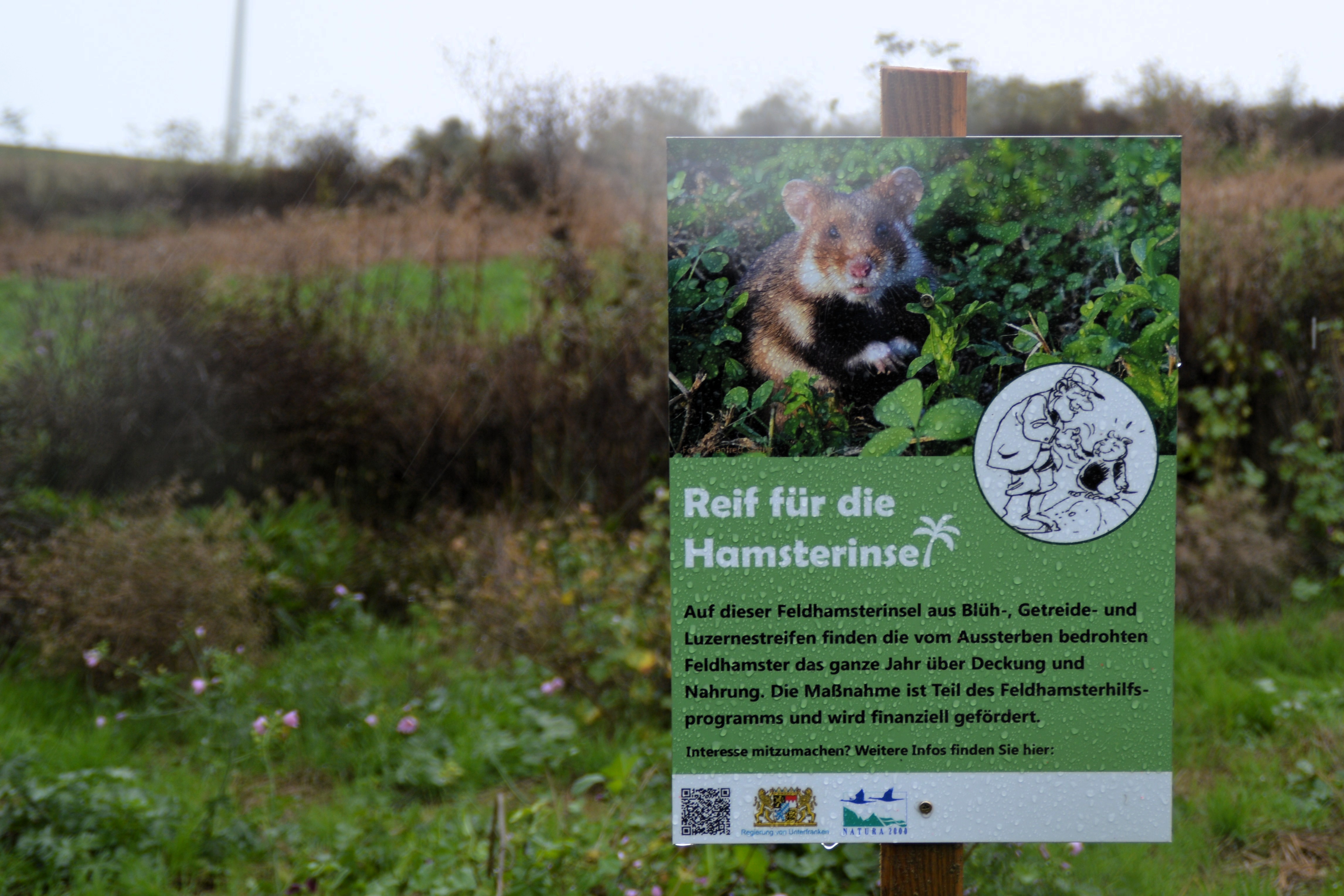 Infoschild Feldhamster | © Franziska Back