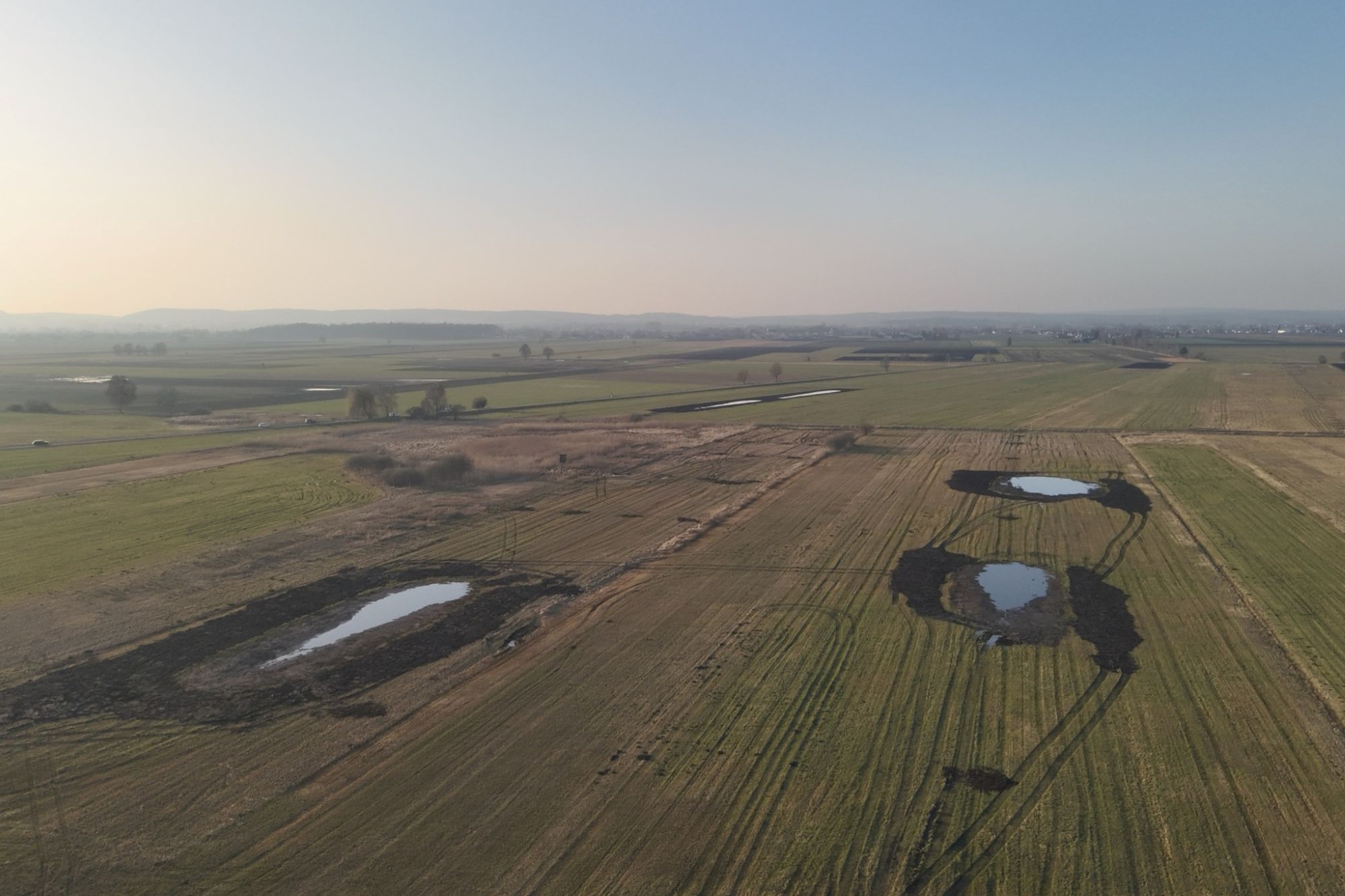 Drohnenaufnahme vom Donaumoos | © Florian Prestl