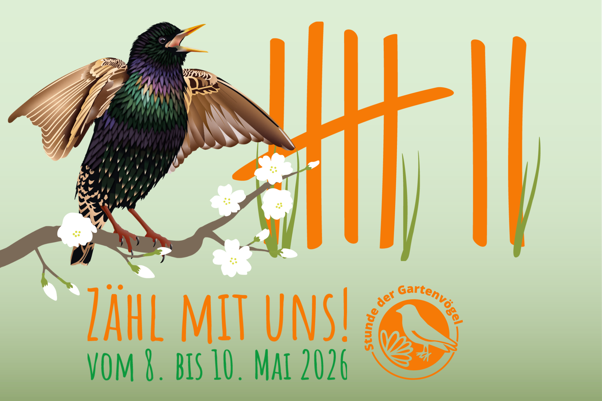 Ein bunter Star sitzt auf einem Ast mit Blüten und lädt zur Zählung der Gartenvögel vom LBV vom 8. bis 10. Mai 2026 ein.
